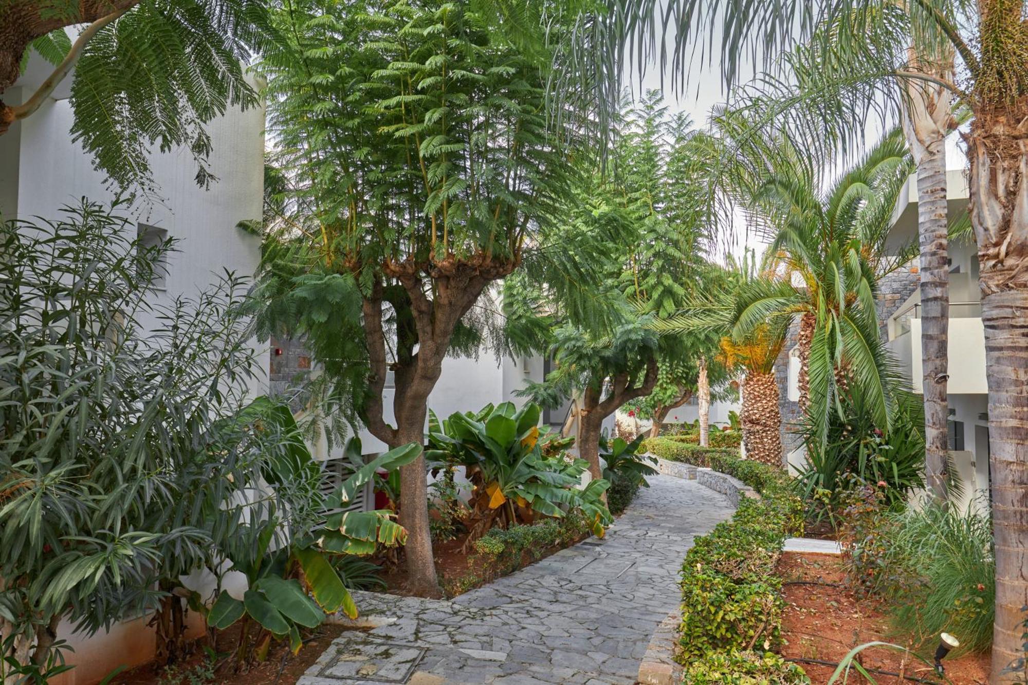Kyknos Beach Hotel & Bungalows Malia Dış mekan fotoğraf