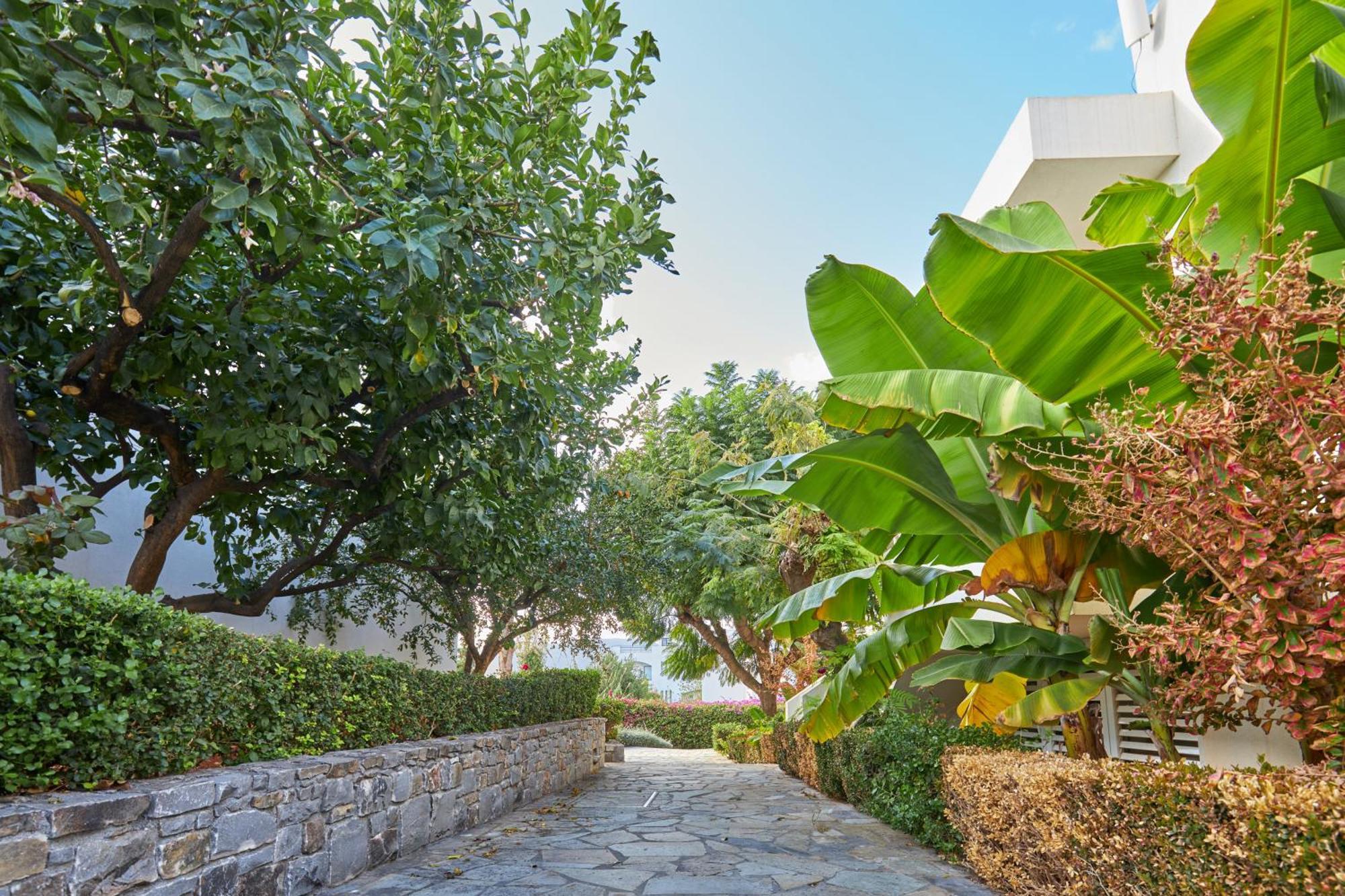 Kyknos Beach Hotel & Bungalows Malia Dış mekan fotoğraf